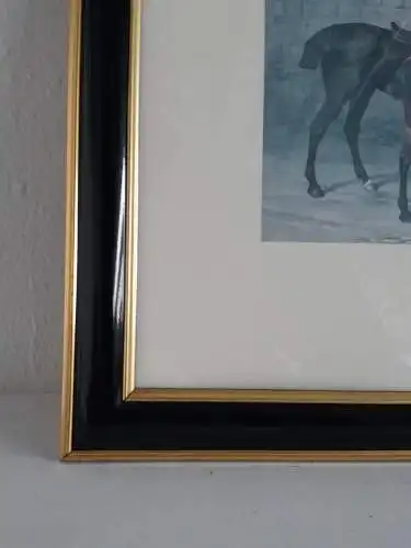 H941-Gemälde-Bild-Druck-Pferde-Passepartout-gerahmt-hinter Glas-
