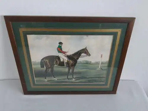 H944-Bild-Gemälde-Tierbild-Pferd-Passepartout-hinter Glas-gerahmt-