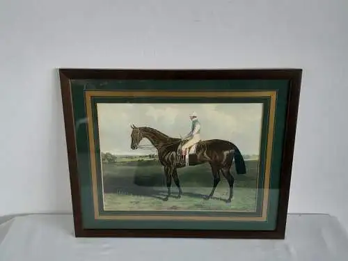 H943-Gemälde-Bild-Pferd-Tierbild-gerahmt-hinter Glas-Passepartout-