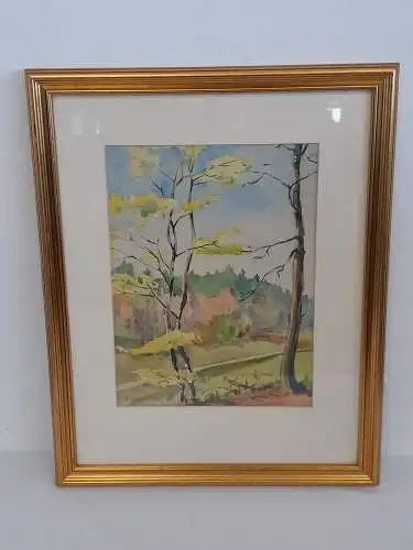 H1000-Landschaftsbild-Aquarell-Gemälde-Passepartout-signiert-gerahmt-datiert-