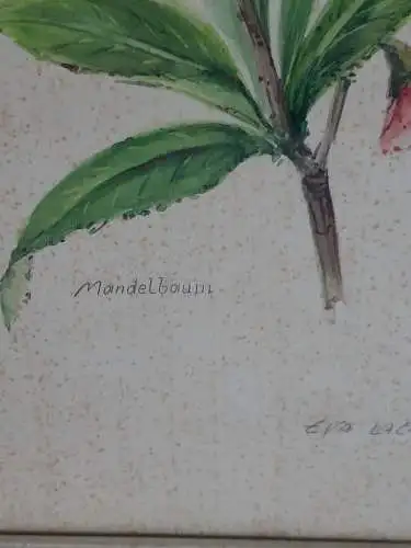 H916-Blumenbild-Mandelbaum-signiert-gerahmt-Bild-Gemälde-Malerei-