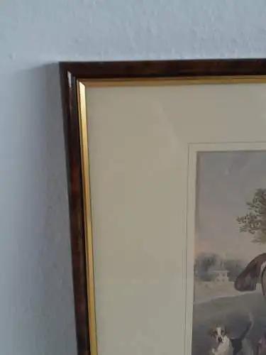 H938-Druck-Gemälde-Bild-Tierbild-gerahmt-Passepartout-hinter Glas-