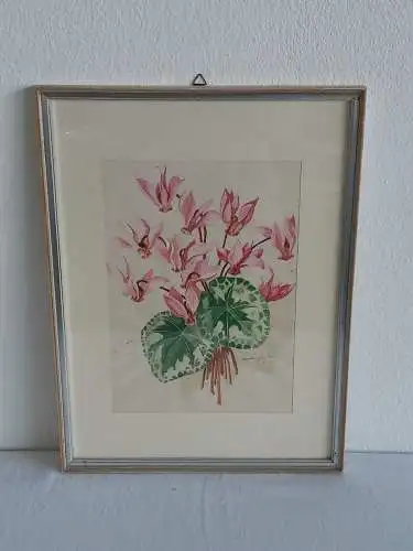 H474-Aquarell-Stillleben-hinter Glas-Blume-datiert-signiert-gerahmt-