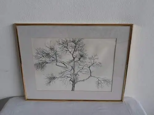 H383-Tusche-Zeichnung-Gemälde-Bild-Der Baum im Volksgarten-gerahmt-