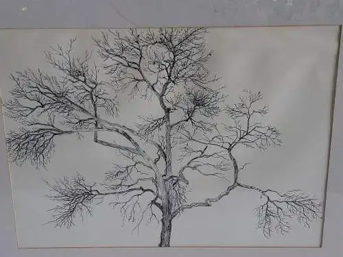 H383-Tusche-Zeichnung-Gemälde-Bild-Der Baum im Volksgarten-gerahmt-