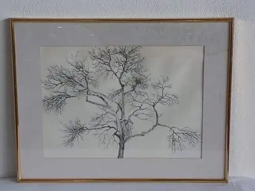 H383-Tusche-Zeichnung-Gemälde-Bild-Der Baum im Volksgarten-gerahmt-