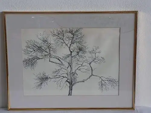 H383-Tusche-Zeichnung-Gemälde-Bild-Der Baum im Volksgarten-gerahmt-