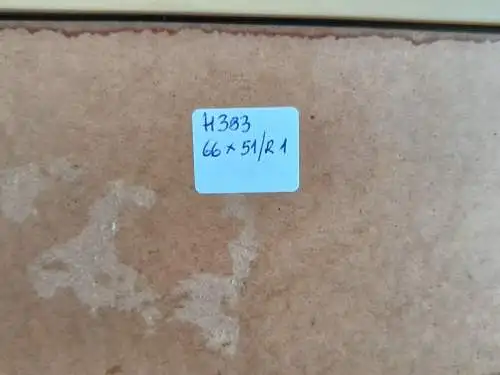 H383-Tusche-Zeichnung-Gemälde-Bild-Der Baum im Volksgarten-gerahmt-