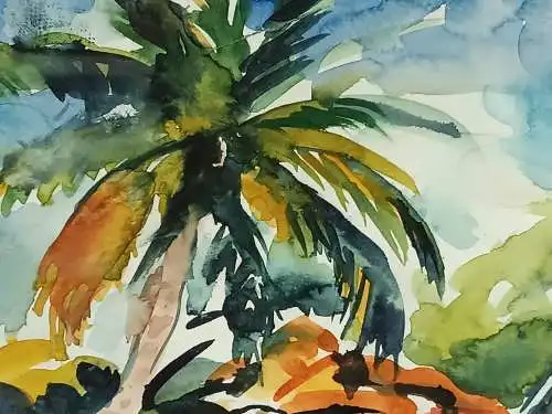 H205-Gemälde-Bild-Mauritius-Aquarell-Passepartout-signiert-gerahmt-datiert-