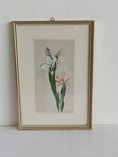 H233-Blumenbild-Gemälde-Lilie-Bild-Aquarell-gerahmt-signiert-datiert-