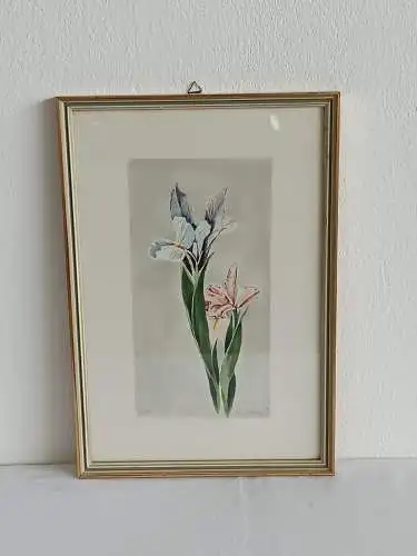 H233-Blumenbild-Gemälde-Lilie-Bild-Aquarell-gerahmt-signiert-datiert-