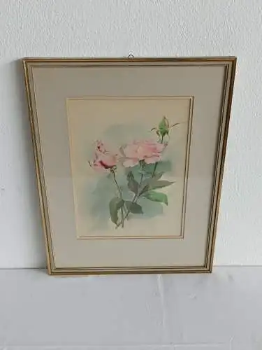 H242-Blumenbild-Aquarell-Rosen-Gemälde-Bild-signiert-gerahmt-Passepartout-