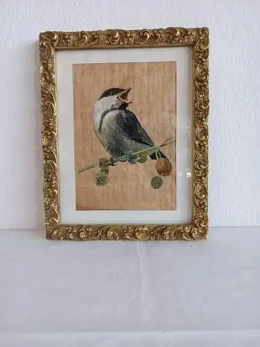 H172-Aquarell-Tierbild-Gemälde-Bild-Vogel-hinter Glas-