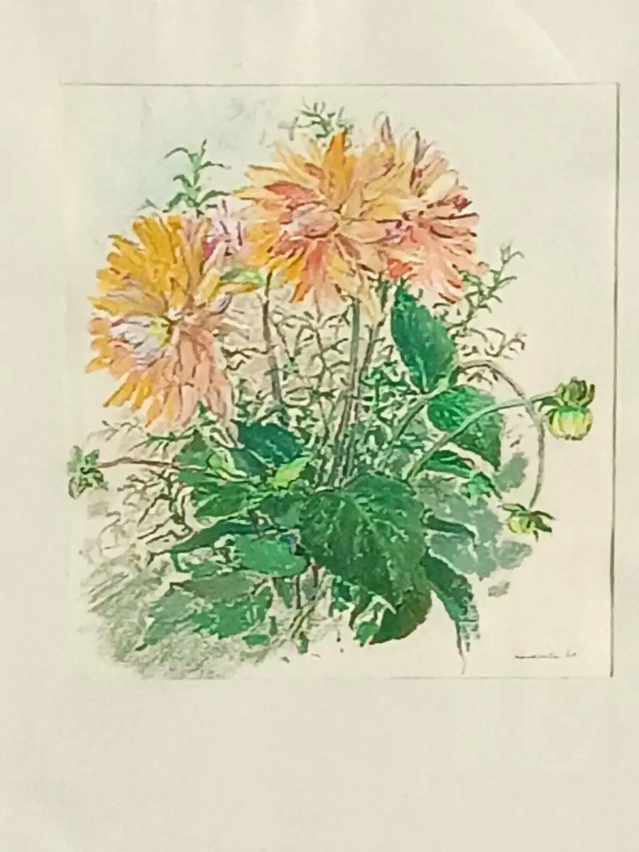 H122-Stillleben-Gemälde-Bild-gerahmt-Blumenwiese-Aquarell-hinter Glas- 2