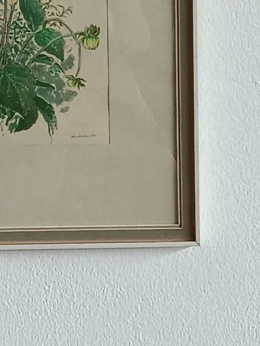 H122-Stillleben-Gemälde-Bild-gerahmt-Blumenwiese-Aquarell-hinter Glas- 4