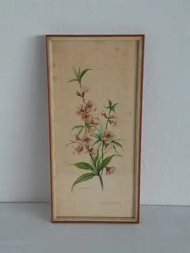 H916-Blumenbild-Mandelbaum-signiert-gerahmt-Bild-Gemälde-Malerei-