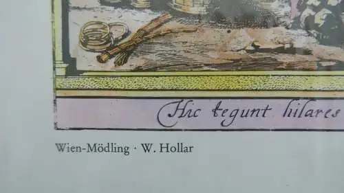 handcolorierter Druck-alte Stadtansicht-Druck-Mödling-W.Hollar-foliert-