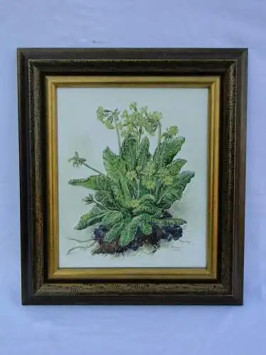 5842-Bild-Kräuterpflanze-Öl auf Leinen-signiert Blaim-datiert 2002-Gemälde