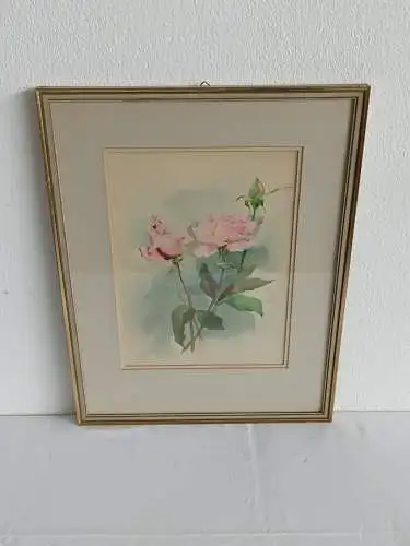 H242-Blumenbild-Aquarell-Rosen-Gemälde-Bild-signiert-gerahmt-Passepartout-