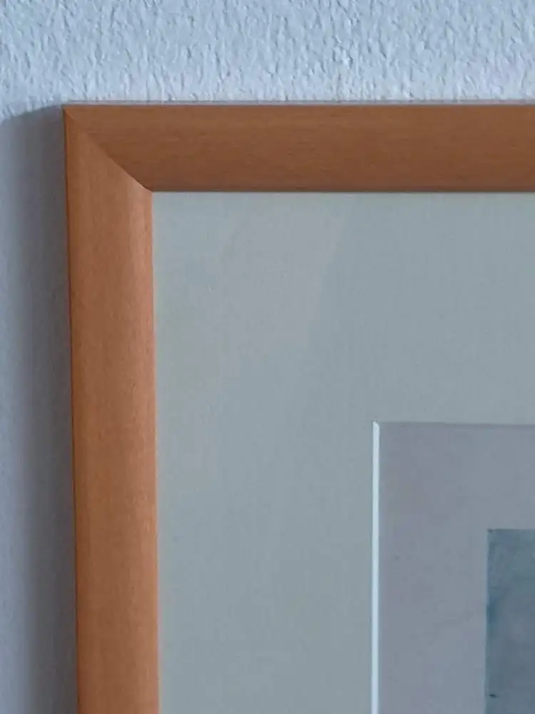 H405-Druck-Gemälde-Bild-Habsburger Monarchie-Passepartout-signiert-gerahmt- 8