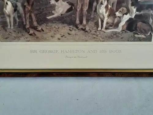 H938-Druck-Gemälde-Bild-Tierbild-gerahmt-Passepartout-hinter Glas-