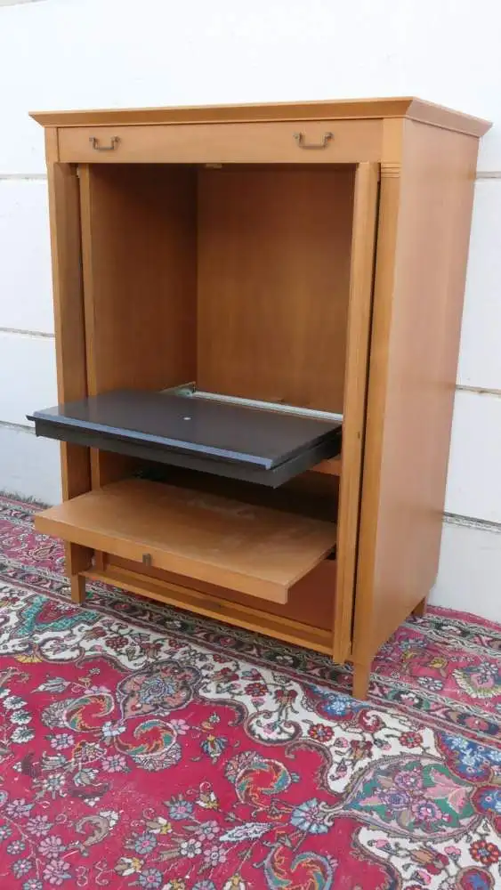 5989-Jugendstil-Schrank-Tv Schrank-Kästchen-Halbhohe Anrichte-Wiener Werkstätte 7