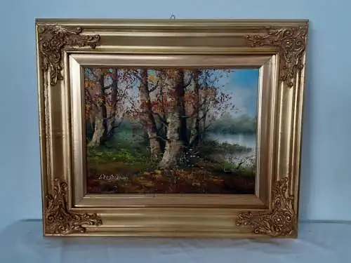 H1248-Landschaftsbild-Ölgemälde-Öl auf Leinen-signiert-gerahmt-Ölbild-