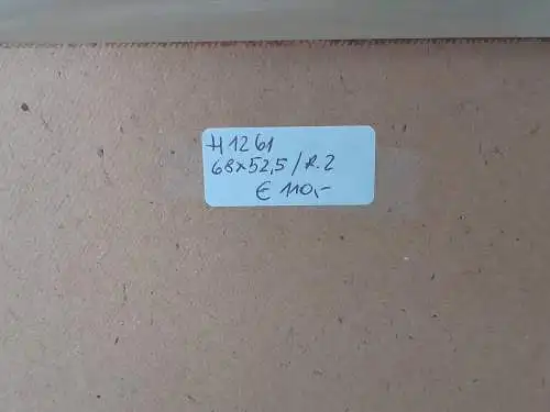 H1261-Colorierte Tuschezeichnung-Mödling bei Wien-Bild-Gemälde-gerahmt-signiert