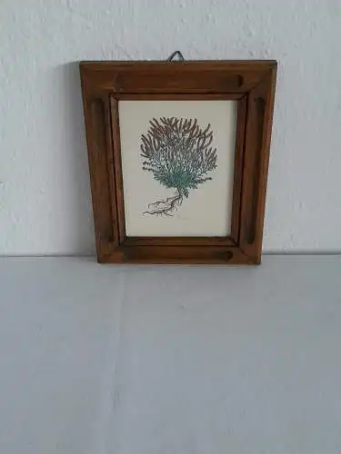 H1378-Blumenbild-Aquarell-hinter Glas-gerahmt-Gemälde-Bild