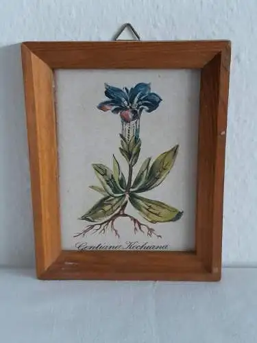 H1376-Blumenbild-Fliesenbild-gerahmt-Gemälde