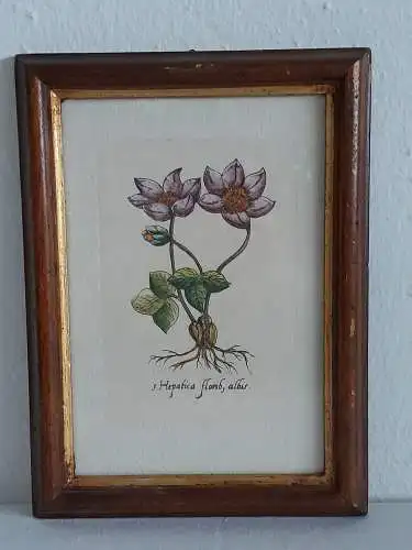 H1384-Blumenbild-Mischtechnik-hinter Glas-gerahmt-Gemälde-Bild