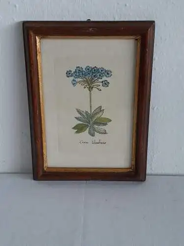 H1385-Blumenbild-Mischtechnik-Gemälde-gerahmt-Bild-hinter Glas-