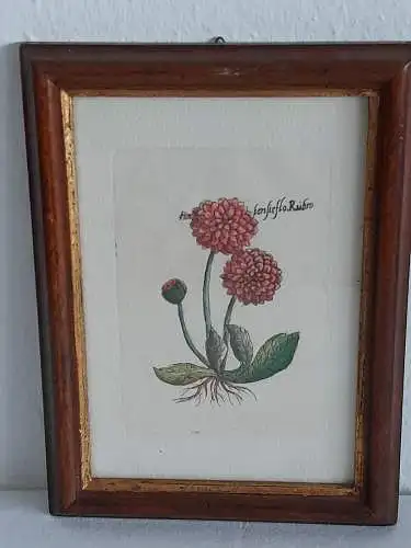 H1386-Blumenbild-Mischtechnik-gerahmt-Gemälde-Bild-hinter Glas-