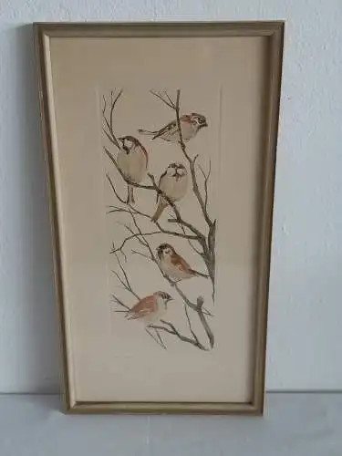 H1394-Tierbild-Vogelbild-Aquarell-signiert-gerahmt-Passepartout
