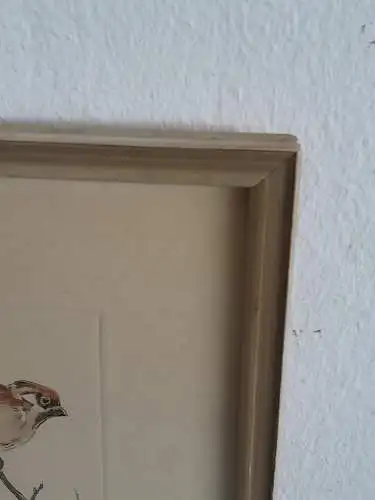 H1394-Tierbild-Vogelbild-Aquarell-signiert-gerahmt-Passepartout