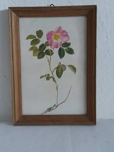 H1379-Blumenbild-Aquarell-hinter Glas-gerahmt-Bild-Gemälde