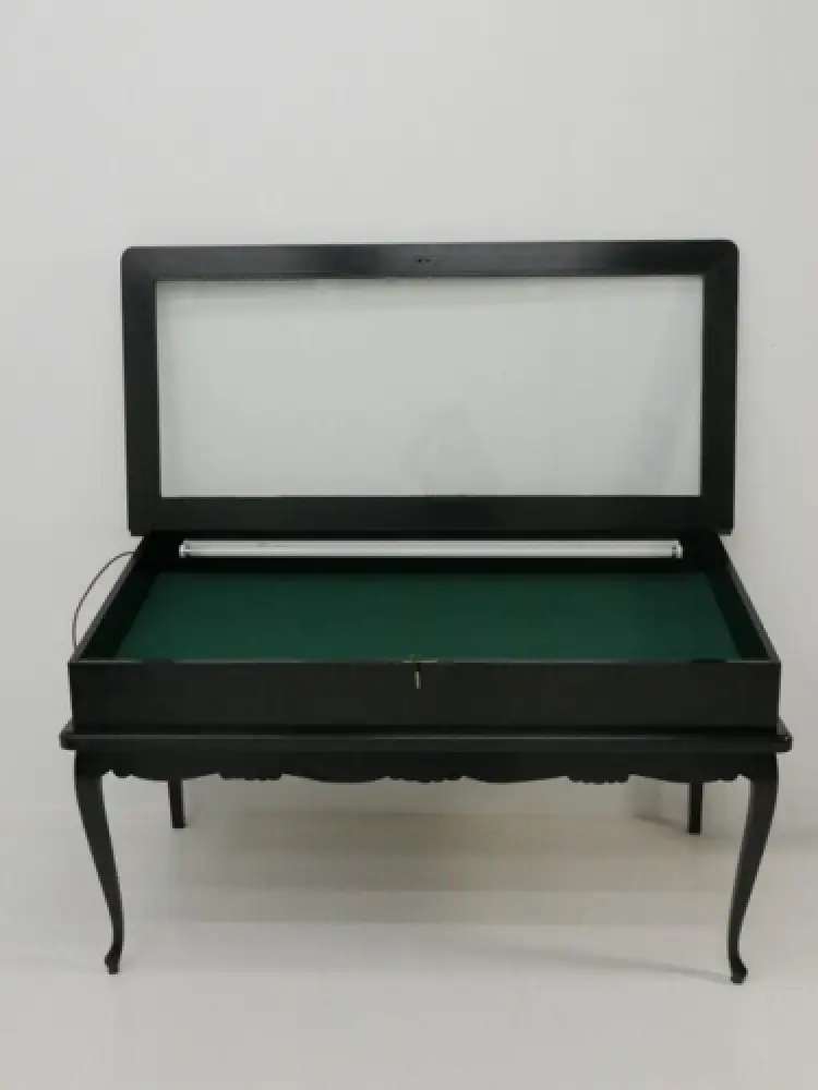 3133-Vitrine-Schaukasten-Jugendstilvitrine-Jugendstilschaukasten-Vitrinentisch- 5