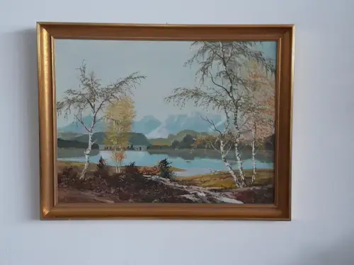 H1408-Ölbild-Öl auf Holz-Landschaftsbild-Ölgemälde-signiert-gerahmt-