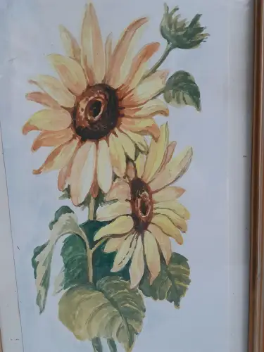 H1424-Aquarell-Sonnenblumen-Bild-Gemälde-signiert-gerahmt-Passepartout-