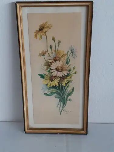 H1425-Aquarell-Bild-Gemälde-Passepartout-Blume-Margeriten-signiert-gerahmt