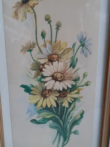 H1425-Aquarell-Bild-Gemälde-Passepartout-Blume-Margeriten-signiert-gerahmt