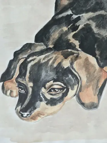 H1448-Aquarell-Tierportrait-Dackel-Bild-Gemälde-signiert-hinter Glas