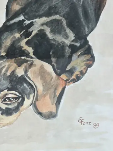 H1448-Aquarell-Tierportrait-Dackel-Bild-Gemälde-signiert-hinter Glas