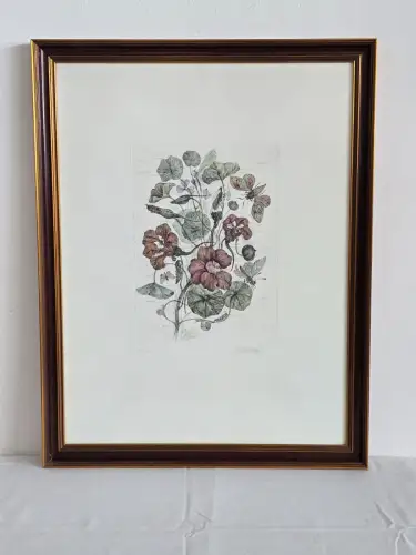 H1452-Colorierte Lithografie-Botanik-Bild-Gemälde-gerahmt-hinter Glas