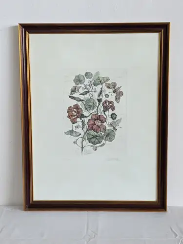 H1452-Colorierte Lithografie-Botanik-Bild-Gemälde-gerahmt-hinter Glas