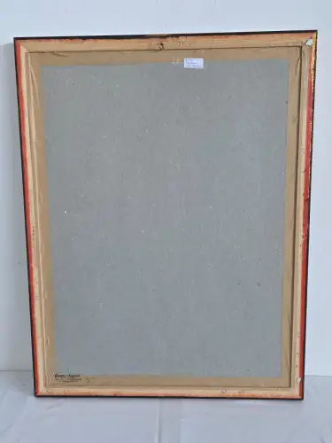 H1452-Colorierte Lithografie-Botanik-Bild-Gemälde-gerahmt-hinter Glas