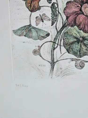 H1452-Colorierte Lithografie-Botanik-Bild-Gemälde-gerahmt-hinter Glas