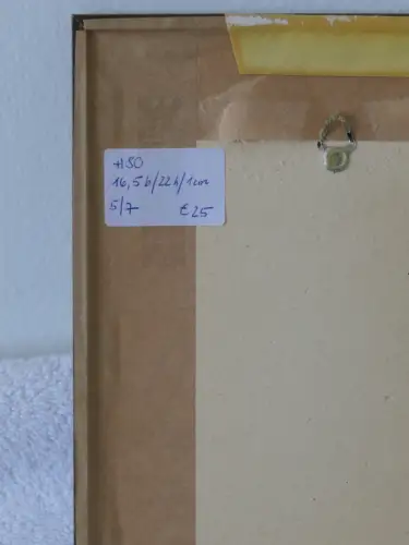 H80-Bild-Gemälde-Farbradierung-signiert-Stadtbild-Wien-gerahmt