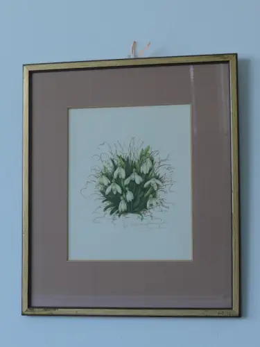 H92-Aquarell-Bild-Blumenbild-signiert-gerahmt-Gemälde-hinter Glas