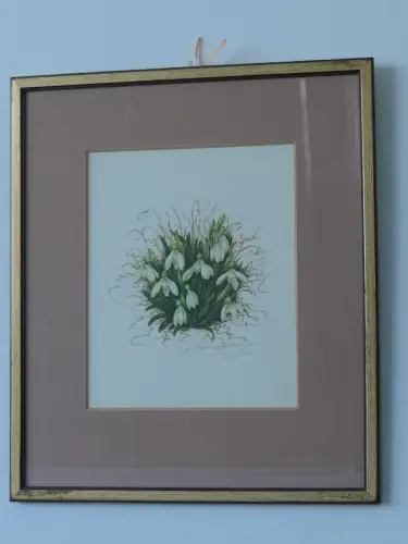 H92-Aquarell-Bild-Blumenbild-signiert-gerahmt-Gemälde-hinter Glas